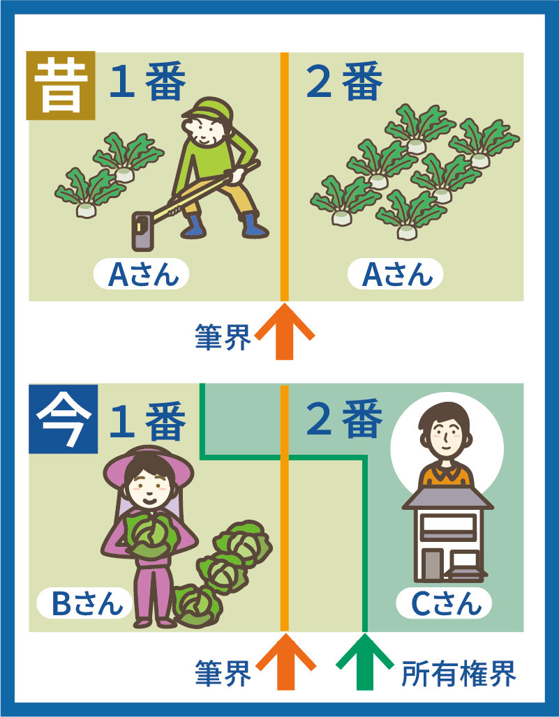 土地の境界トラブルを裁判なしで解決を図る「筆界特定制度」
